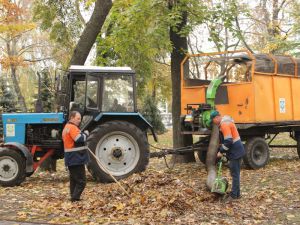 Полтава: Опале листя перетворюють на органічне добриво